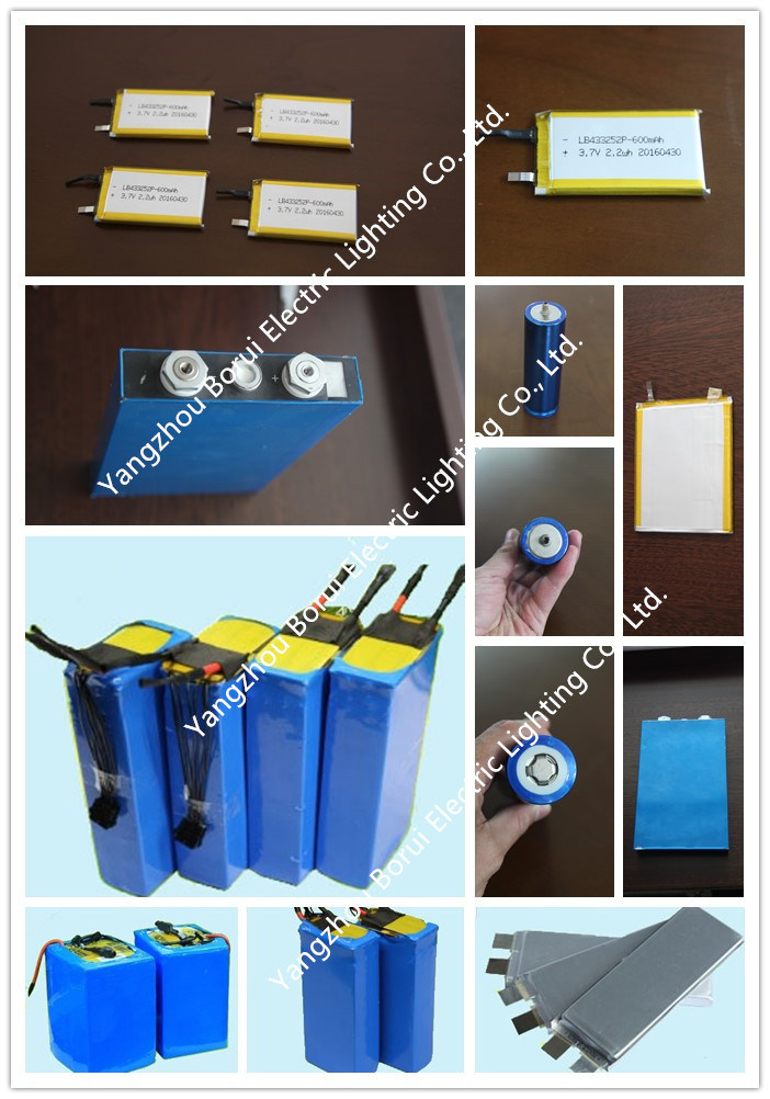 Rechargeable Li-ion Polymer Battery for Laptop, Mobile Phone, Charger