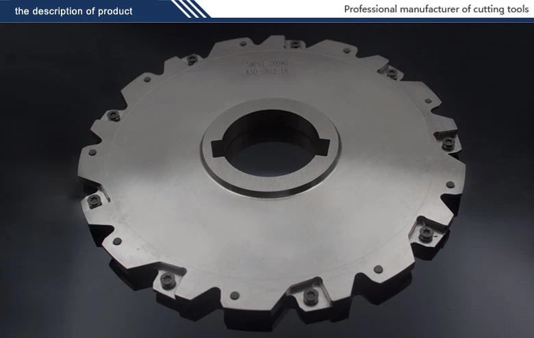 Indexable Side and Face Milling Cutter PT02.12j50.200.18. H6 with Xseq12t3 Insert