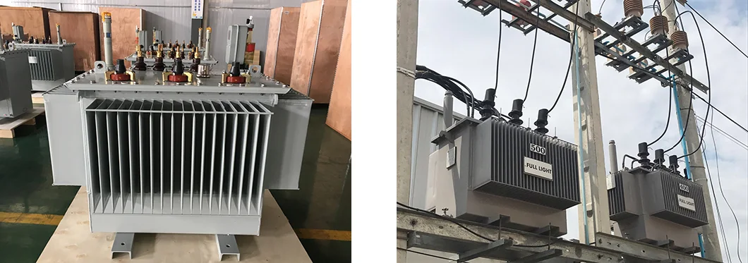 11/0.4kv Three Phase Oil Immersed Pole Mounted Power Distribution Transformer
