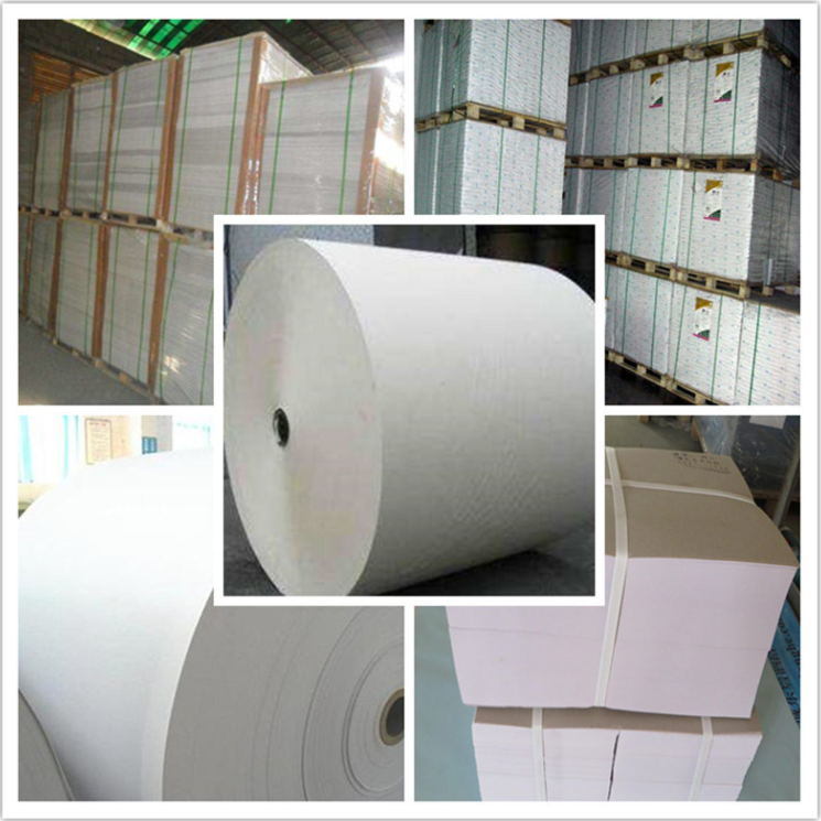 Art Board/Double-Side Coated Ivory Board/C2s/2CS/Couche Board/Couche Card