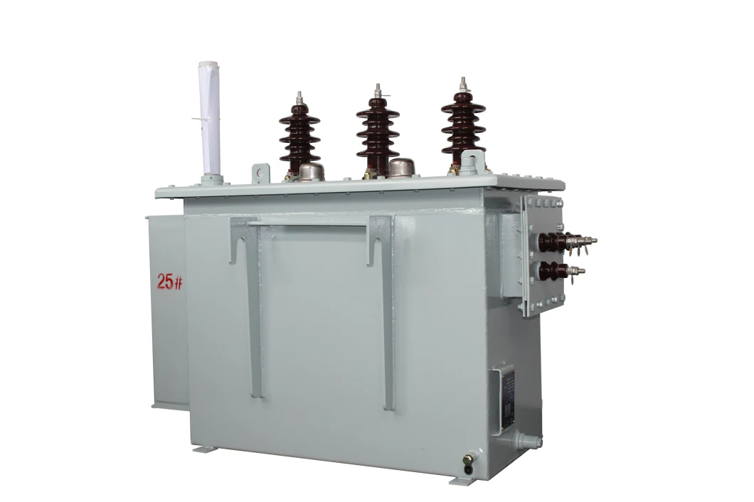 Hot Sale Oil Immersed Type Transformer Factory Supply Power Transformer Distribution Transformers