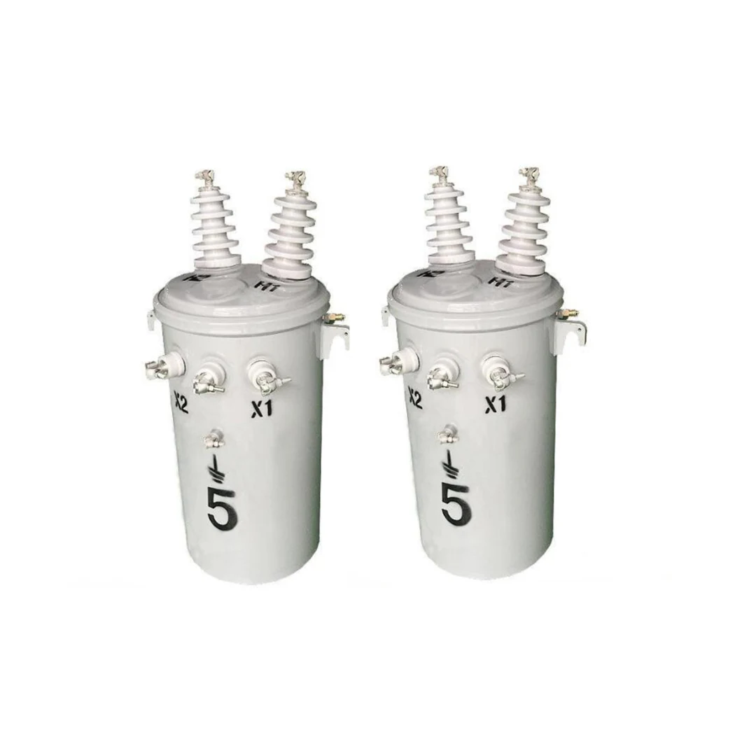 Single Phase Oil Filled Pole Mounted Power Distribution Transformer