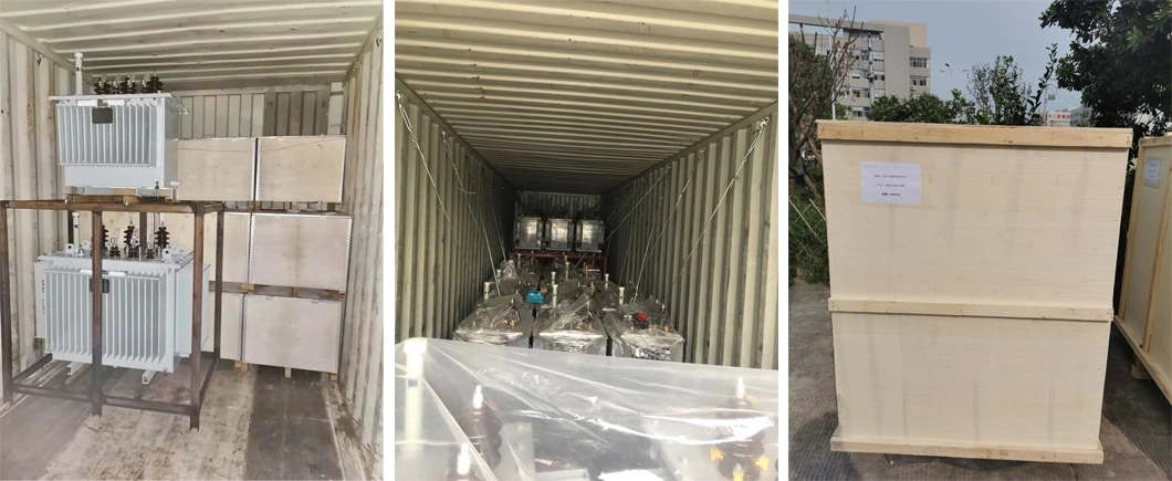 10kv Series Distribution Transformer Duplex Winding Non-Excited Tap-Changing Power Transformer