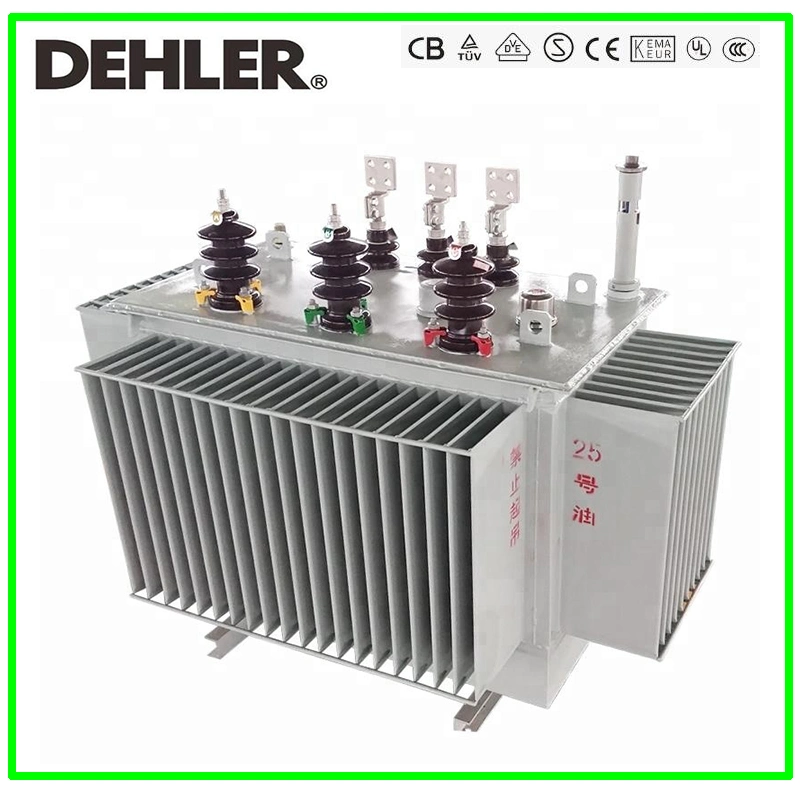 S9-M 10kv Oil Immersed Power Transformer/Distribution Transformer for Power Transformer Winding