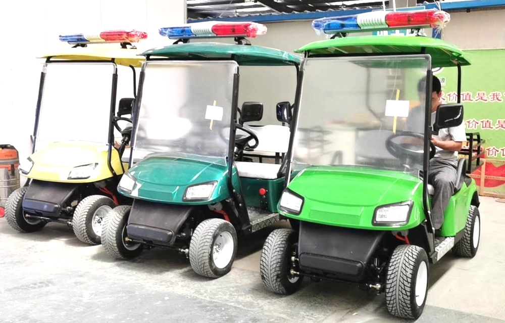 Al-Gc 60V Electric Golf Cart Batteries Electric Motor for Golf Cart