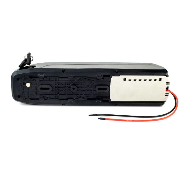 Rechargeable Hailong Type Ebike Battery 36V 10ah with Charger