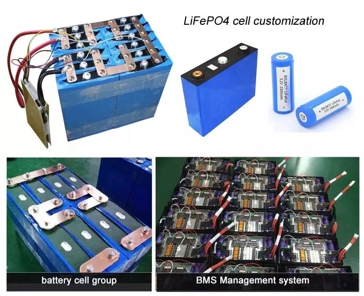 Lithium Battery Iron Phosphate LiFePO4 Battery Pack with BMS for Backup Power Supply 48V LiFePO4 Battery