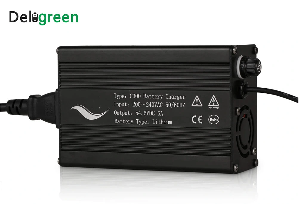 16s 60ah LiFePO4 Battery Charger 58.4V 48V 10A China Battery Chargers for E Rickshaw