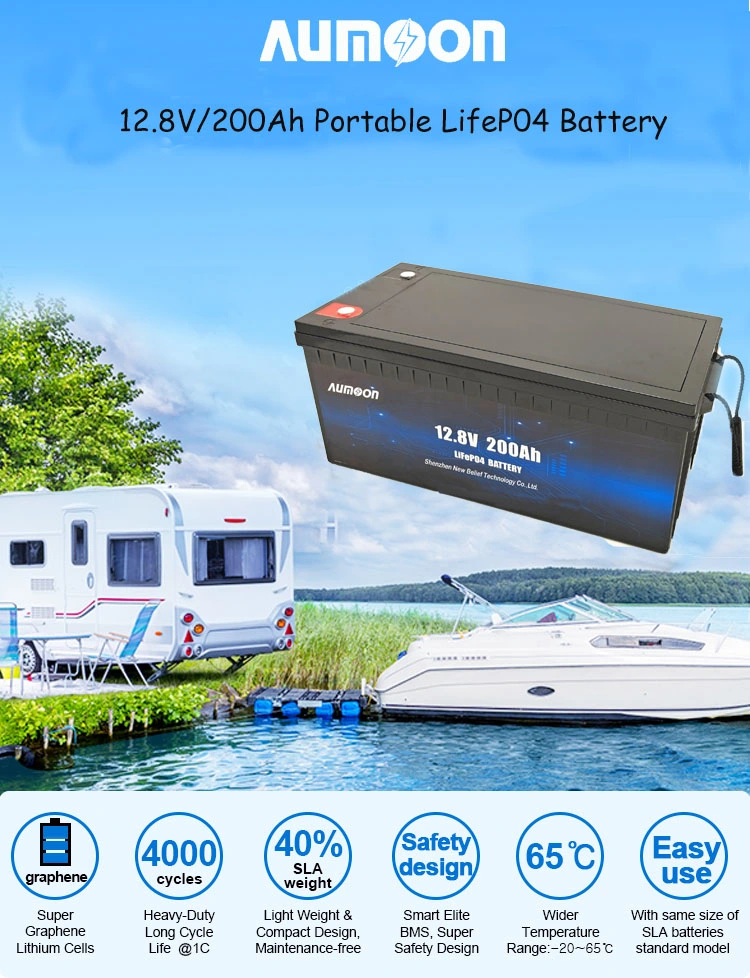 LiFePO4 Battery LiFePO4 Battery 12V 12V 100ah LiFePO4 Battery with Smart BMS