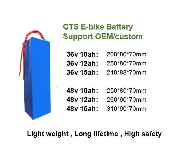 Ebike Battery 24V 48V 20ah-50ah Electric Bike Lithium Battery Pack with Charger and BMS