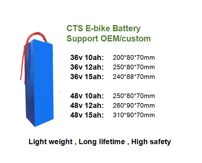 Accredited Ce E Bike Batteries 36V 48V Ebike Battery 10ah-40ah Ebike Lithium Battery