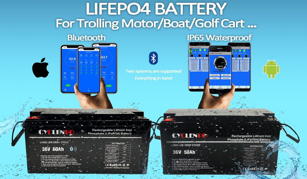 High Quality Trolling Motor Battery/Boat Battery 36V 60ah LiFePO4 Battery Deep Cycle
