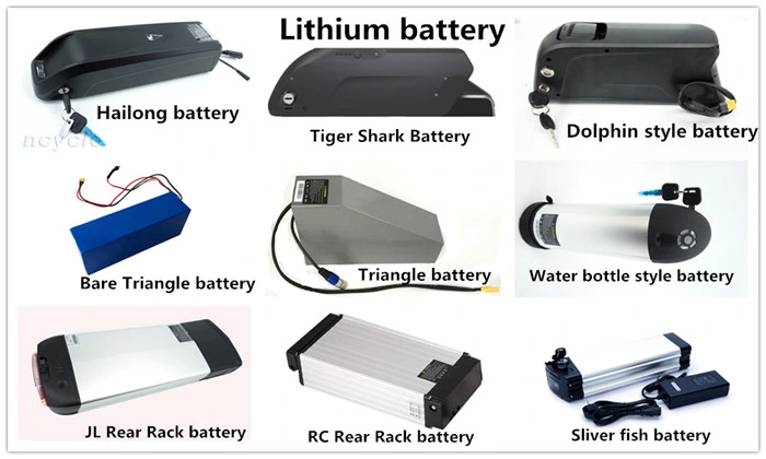 52V 13ah E-Bike Tiger Shark LG Import Cell Lithium Battery with 2A Charger