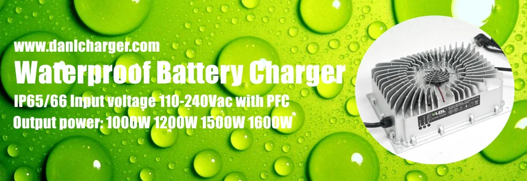 48V 25A Marine Battery Charger, Max 58.4V Pre-Charge, Cc and CV for LiFePO4 Battery
