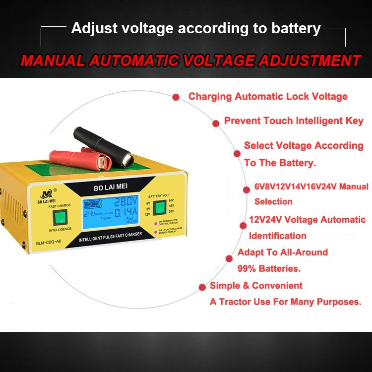 6V/8V/12V/14V/16V/24V Portable Vehicle/Cars/Motorcycle Lead Acid Battery Charger