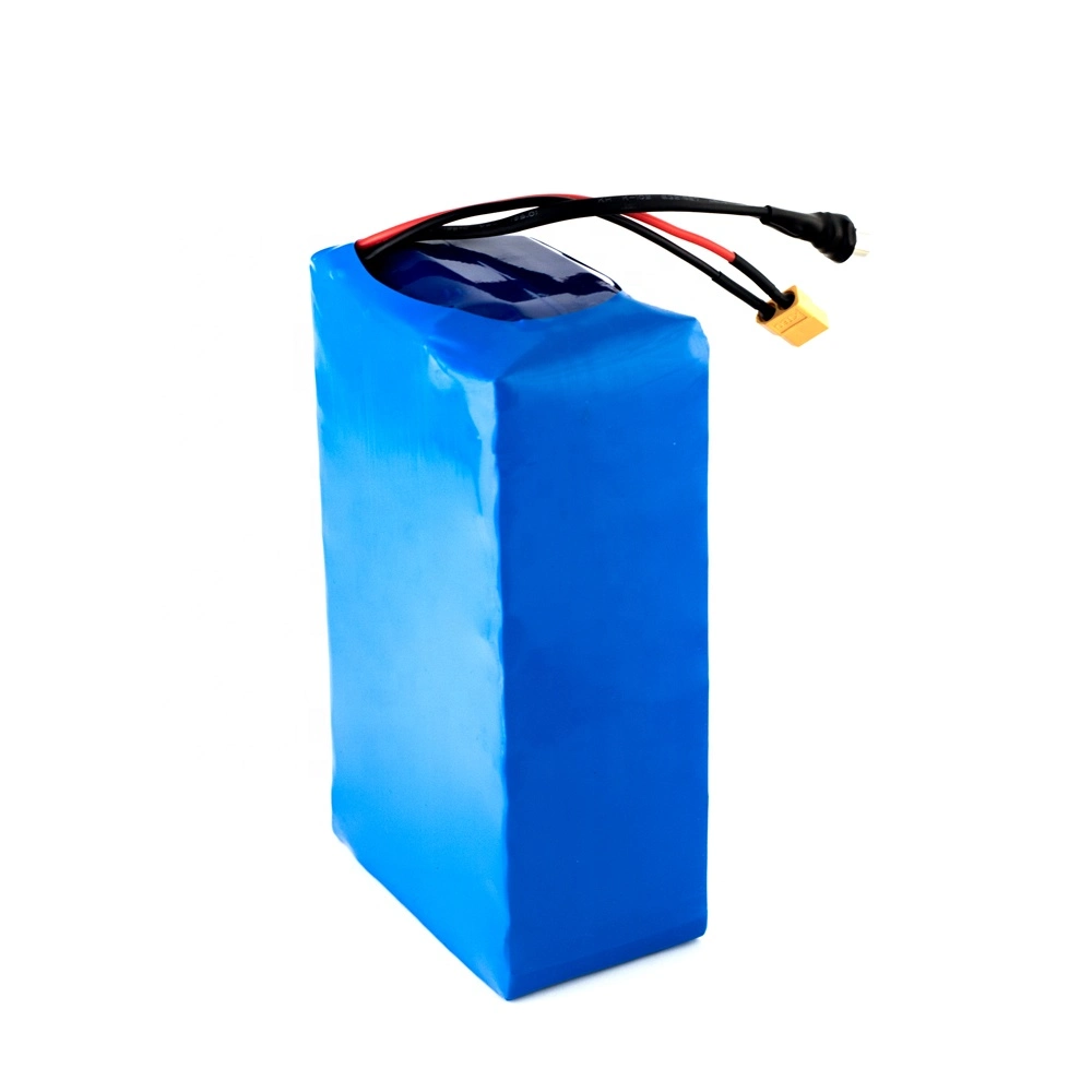 Rechargeable High Performance 18650 Cells 40V 20ah E-Bike Battery Pack with Charger