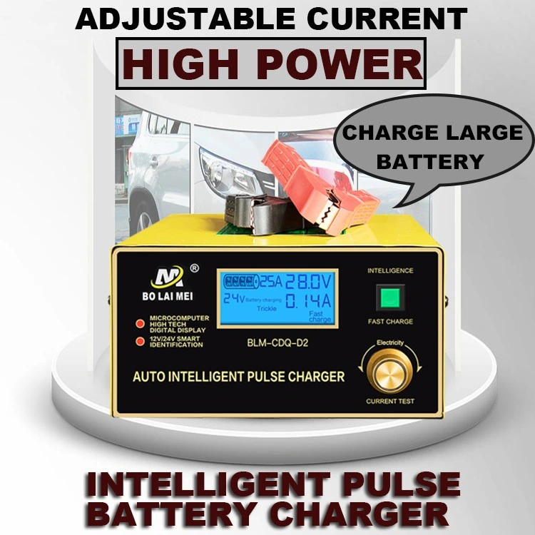 High Power Rechargeable Charger 12 V 24 V 0-25 a Adjustable Battery Charger