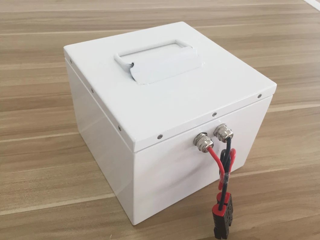 Adult Electric Motor Lithium Battery 60V 72V 60ah Escooter with Charger Available