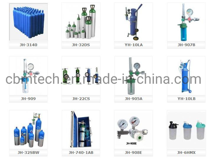 Top Quality Factory Direct Sale Beverage CO2 Cylinders Set