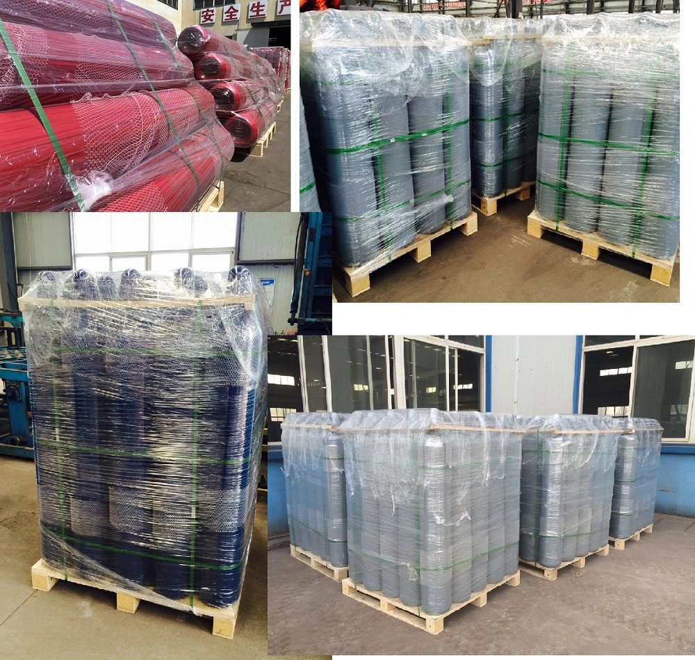 30L High Pressure Seamless Steel CO2 Gas Cylinder Air Cylinder CO2 Gas Tank (ISO204-30-20)