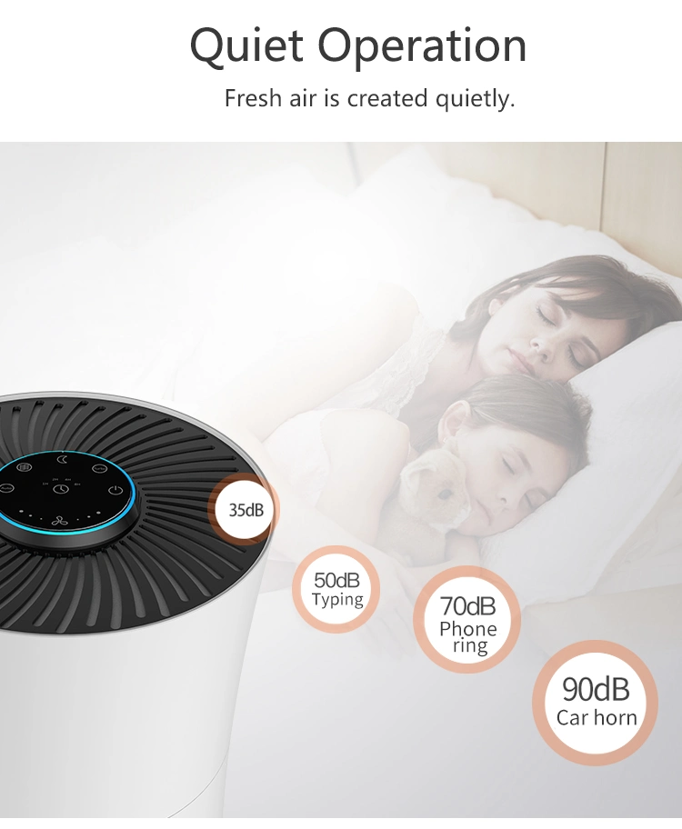 Air Filter Home Use Ionizer Air Purifier for Pollen