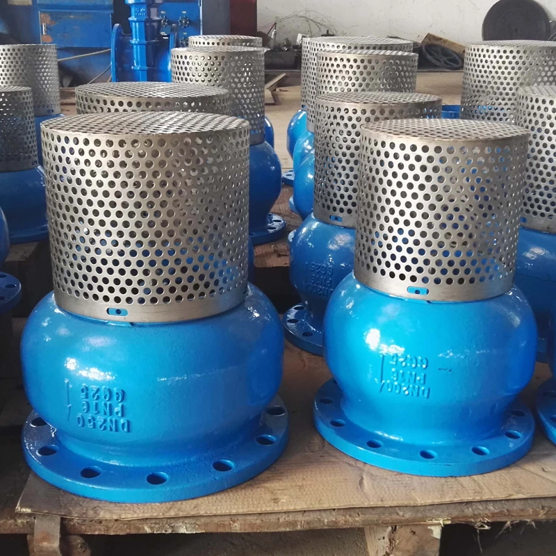 Ductile Iron SS304 Flanged End ANSI Foot Valve PVC Check Valve Gate Valve Globe Valve Lift Foot Valve
