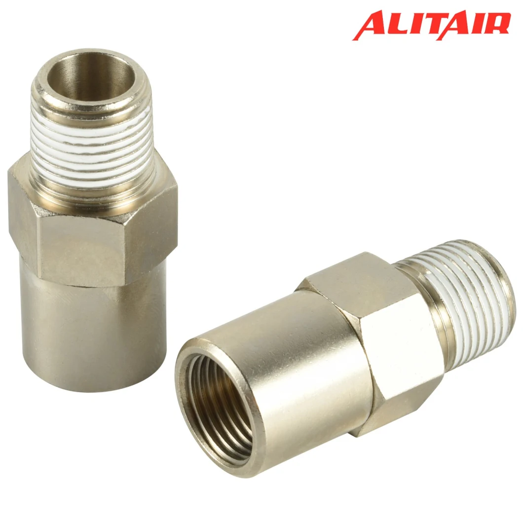 Male to Female Brass Pneumatic Check Valve One Way Non-Return Valve for Air Ride Suspension Compressor