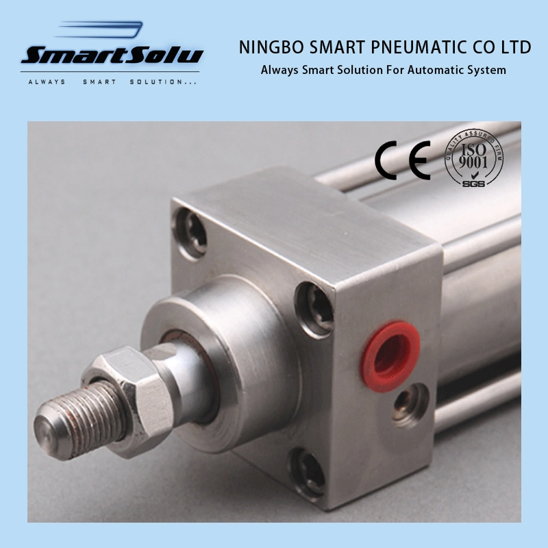 Single Double Acting DNC ISO6431 Stainless Steel Pneumatic Air Cylinder
