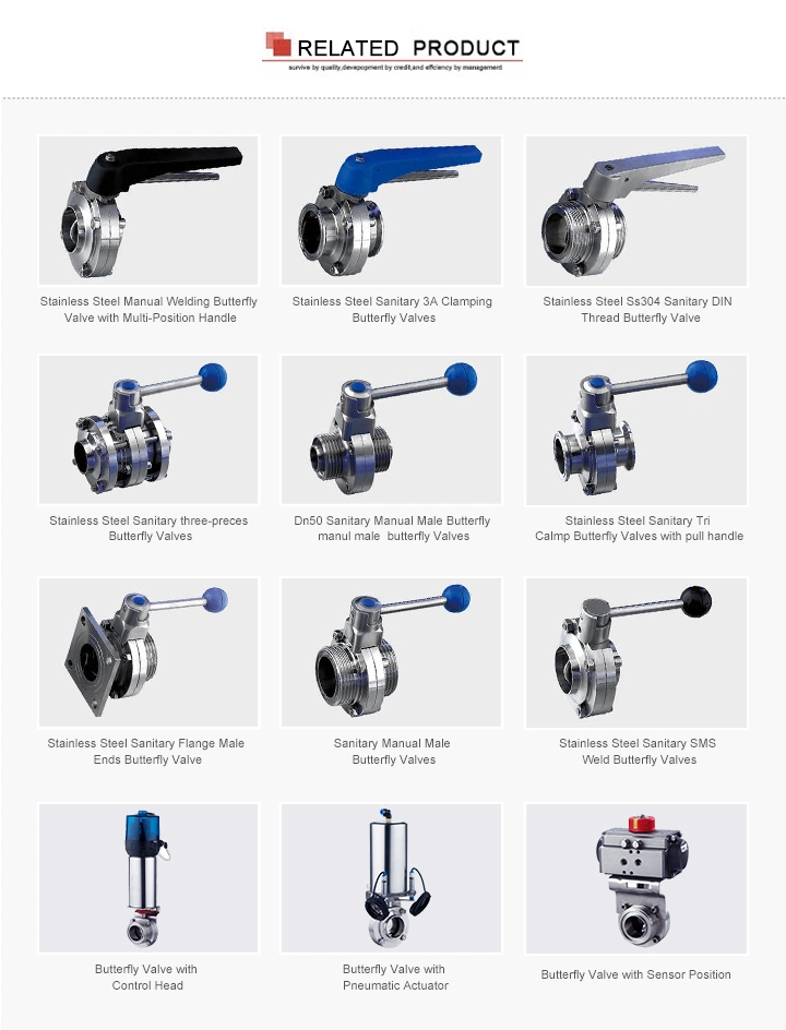 Food Grade Clamping-Clamping Pneumatic Butterfly Valve with Horizontal Actuator