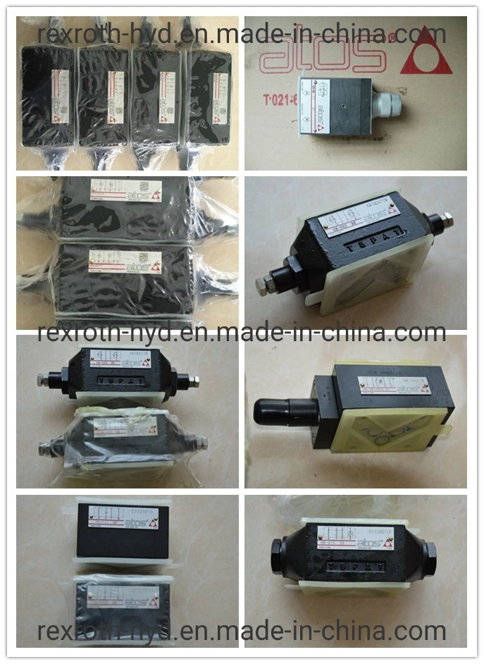 Atos Hydraulic Pump/Hydraulic Valve/Piston Pump/Control Valve/Solenoid Valve Coil/Gear Pump/Proportional Valve/Vane Pump Pvw Pvpc Pfed Pm Pvt Dph