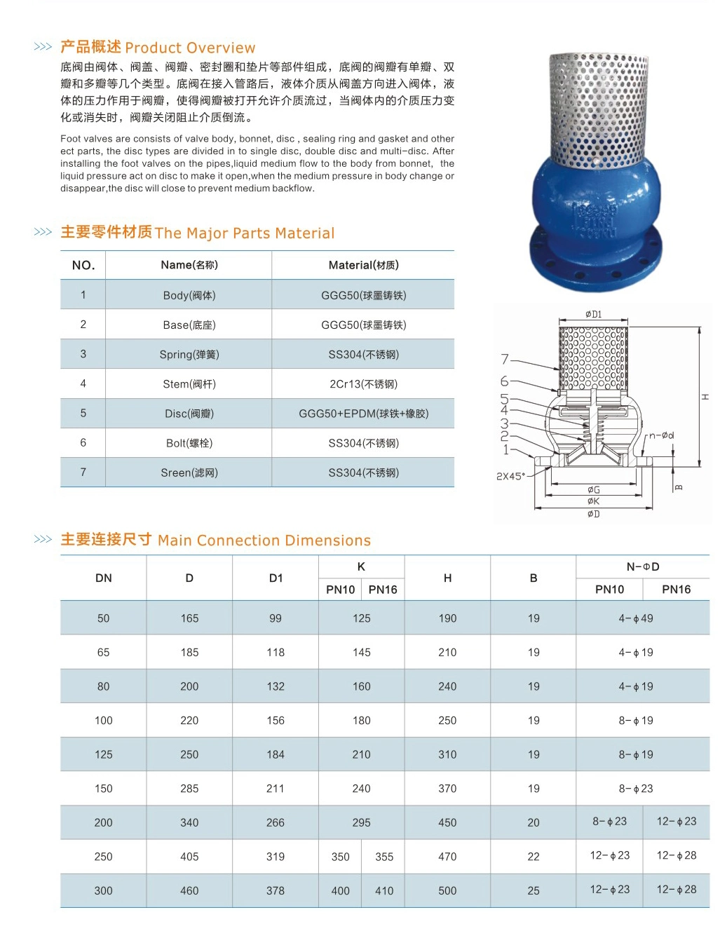 Ductile Iron SS304 Flanged End ANSI Foot Valve PVC Check Valve Gate Valve Globe Valve Lift Foot Valve