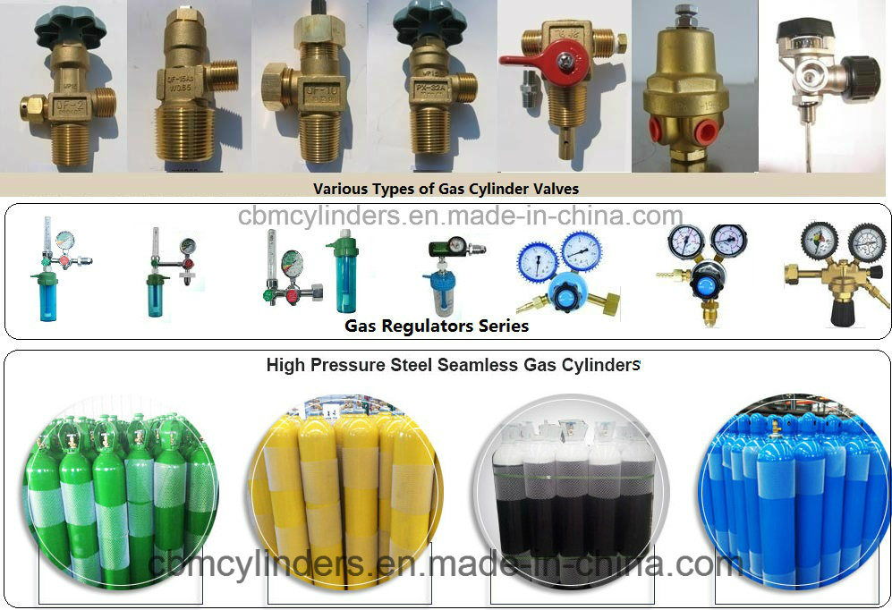 Top Quality Factory Direct Sale Beverage CO2 Cylinders Set