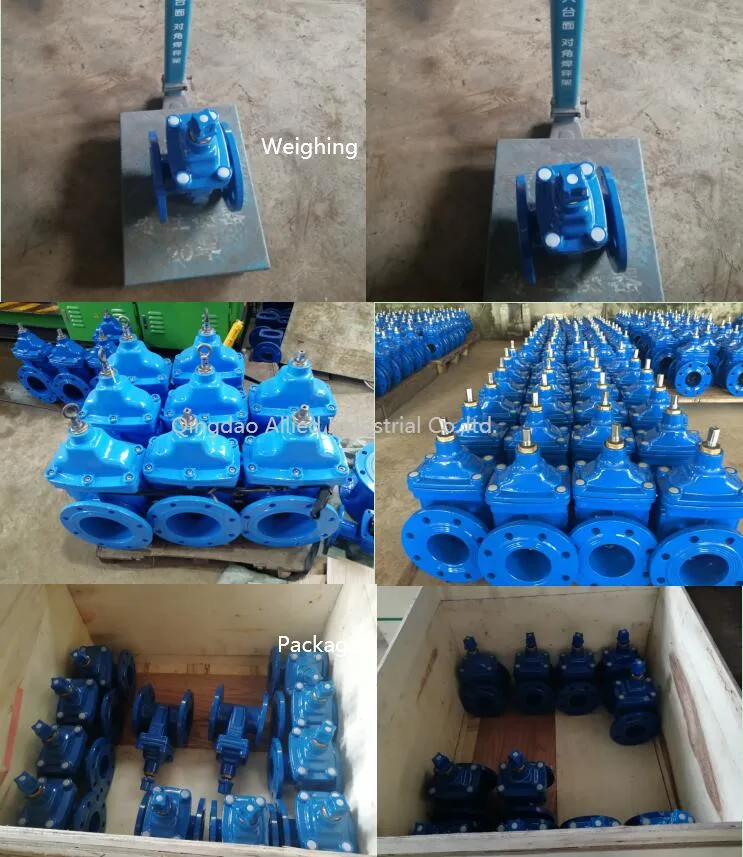 Ductile Iron Cast Iron Muffler Check Valve Silence Check Valve H41X Pn10/16 and Foot Valve