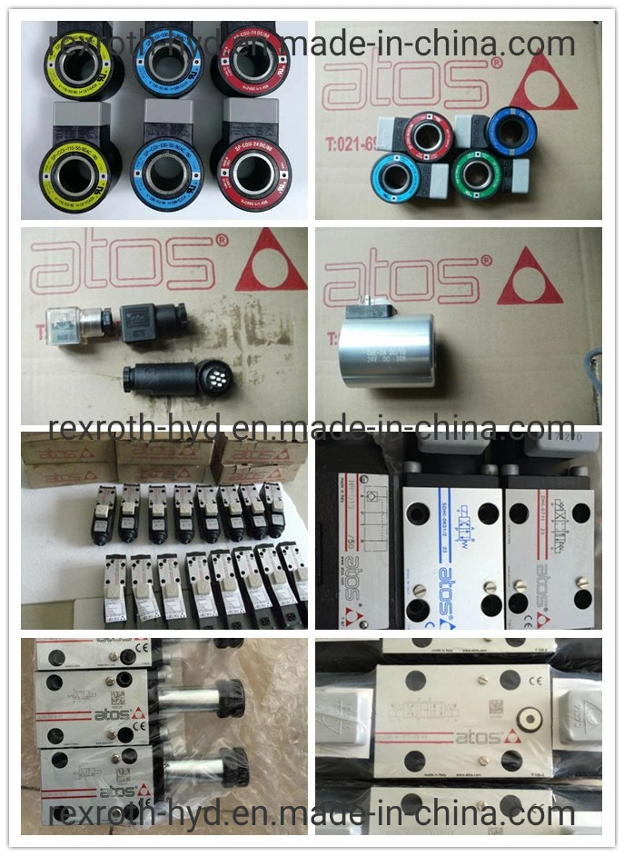 Atos Hydraulic Pump/Hydraulic Valve/Piston Pump/Control Valve/Solenoid Valve Coil/Gear Pump/Proportional Valve/Vane Pump Pvw Pvpc Pfed Pm Pvt Dph