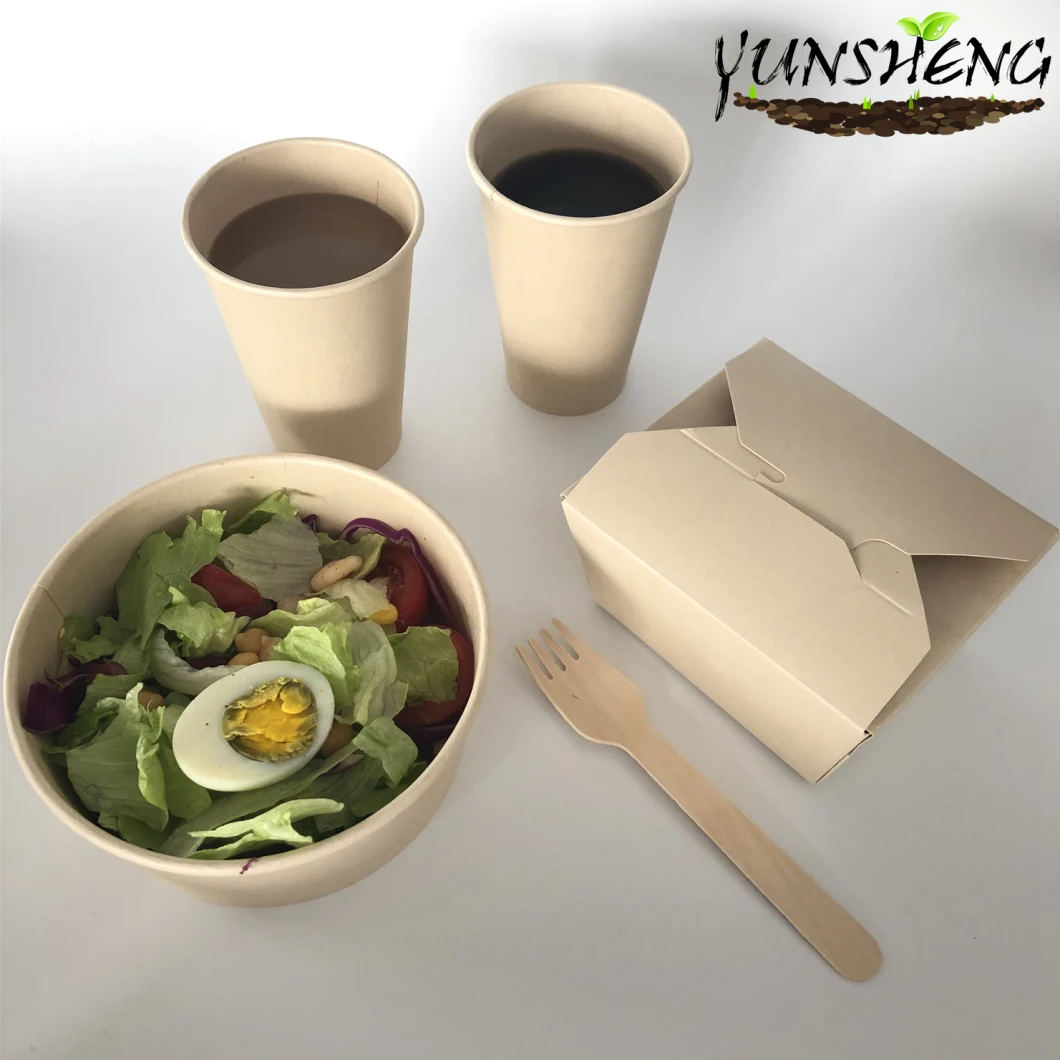 Eco Friendly Food Container Biodegradable Eco Friendly Disposable Carryout Plates