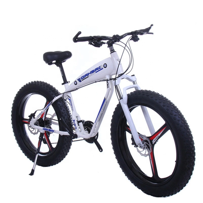 Good Selling 2021 New Design Strong Fat Tire 26*4.0 Low Price Beach Bike