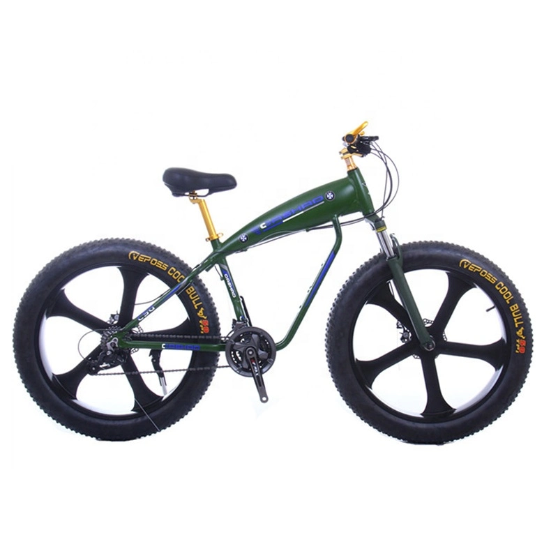 Good Selling 2021 New Design Strong Fat Tire 26*4.0 Low Price Beach Bike