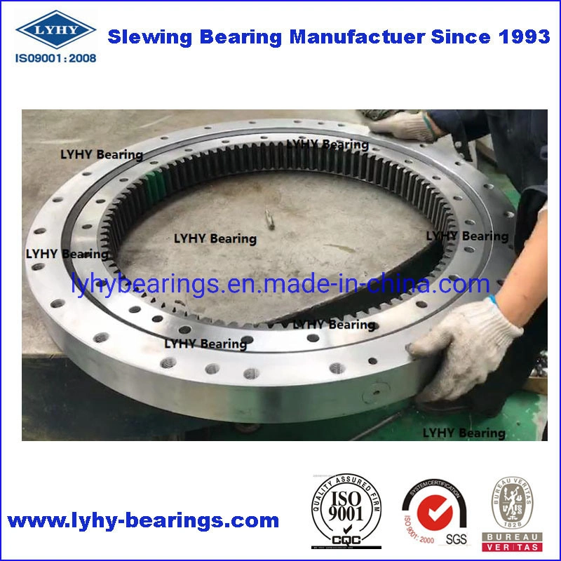 Ball Bearing Slewing Ring Bearing Without Gear Teeth Bearing Turntable Bearing Rotary Bearing (33-0641-01)
