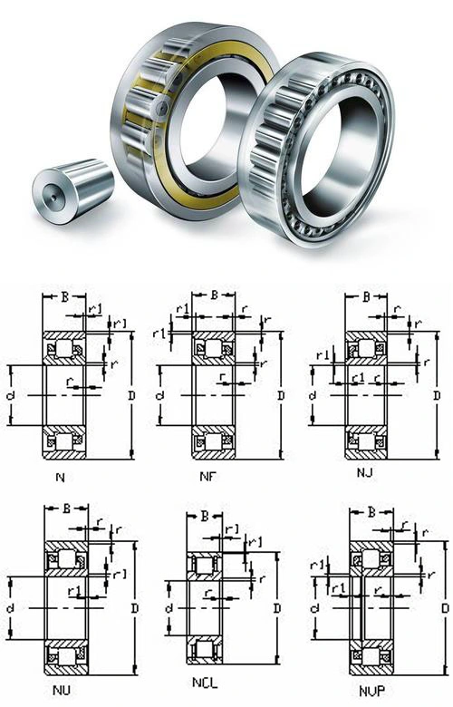 Motive Single Row Chrome Steel Cylindrical Roller/Rolling Bearings for Automobile/Vibrating Screen