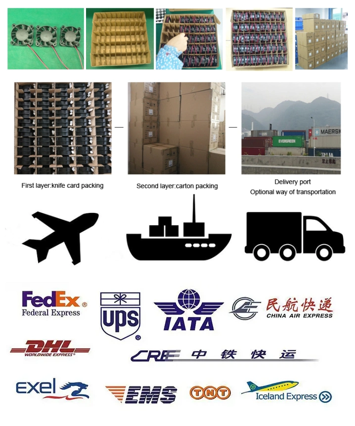 Shenzhen Supply 12038b AC 220V Double Ball Bearing Cooling Fan Humidifier Cabinet Chassis Cooling Fan