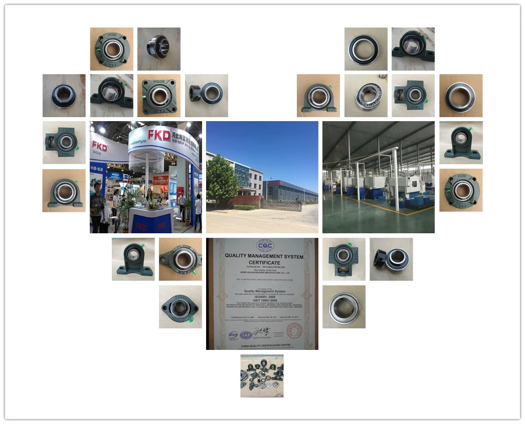 Chrome Steel/Pillow Block Bearing/Bearing Used in Agriculture Machinery/Ball Bearing/Deep Groove Bearing/Bearing