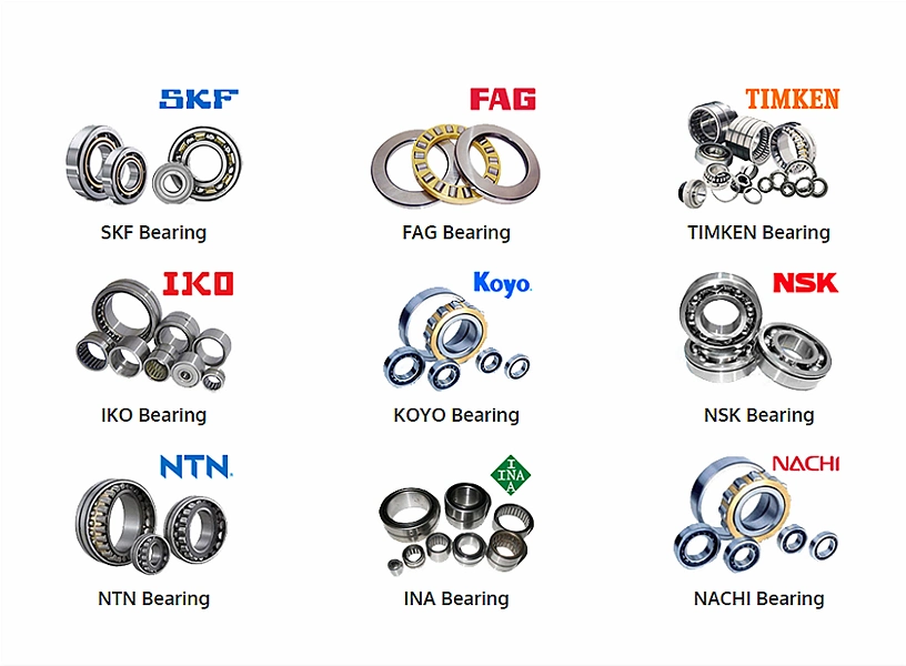 Auto Parts Auto Bearing Motorcycle Bearing Bicycle Bearing Agricultural Bearing 6006-2RS1 6007-2RS1 6008-2RS1 6009-2RS1 6010-2RS1 for SKF Ball Bearing