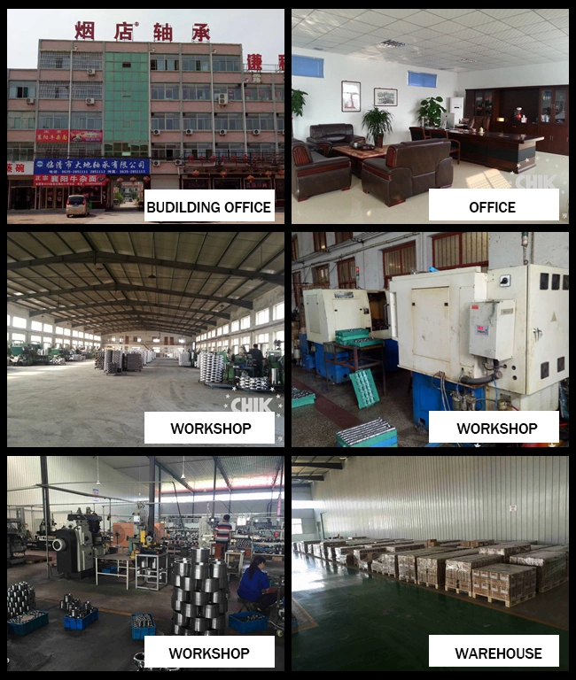 Chik China Distributor of Bearings 32316 33014 33209 44643/10 220149/10 Roller Bearings