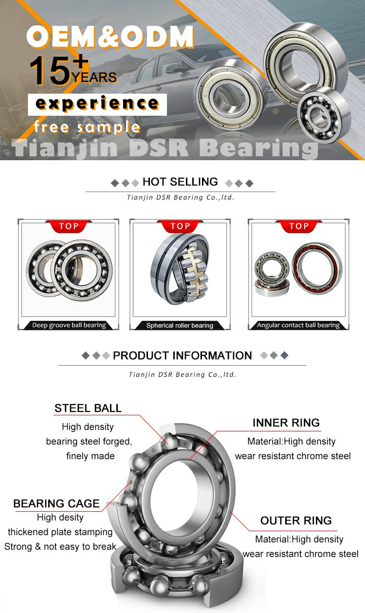 Auto Part Bearing Supplier SKF Taper Roller Bearing SKF Bearing Industrial Bearing Factory 6000 6200 6300 Series SKF Ball Bearing