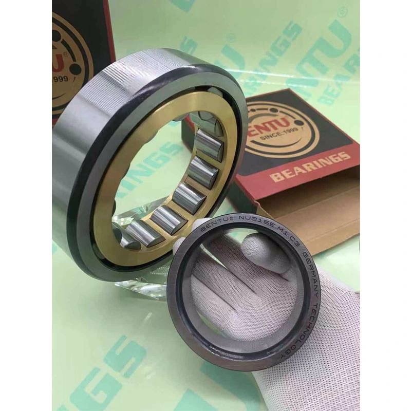 Motive Single Row Chrome Steel Cylindrical Roller/Rolling Bearings for Automobile/Vibrating Screen