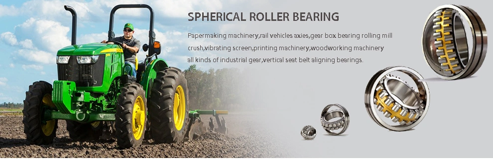 Auto Parts Bearing Spherical Roller Bearing for Vibrating Screens