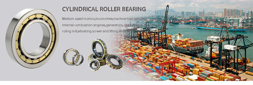 Rolling Bearing C0 C2 C3 C4 C5 N2224EM Cylindrical Roller Bearing