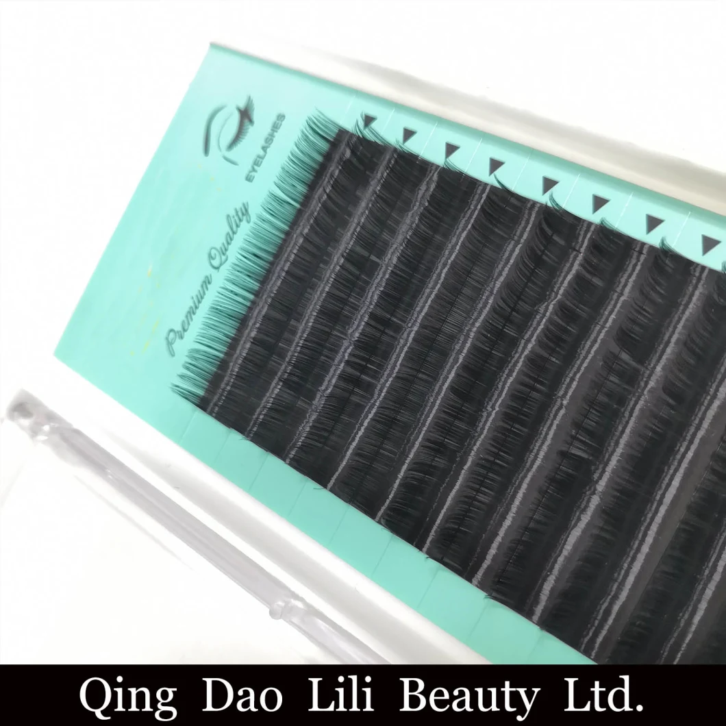 Wholesale 3D/6D/9d Eyelashes Blooming Easy Fans Lashes One Second Fan Eyelash Extension