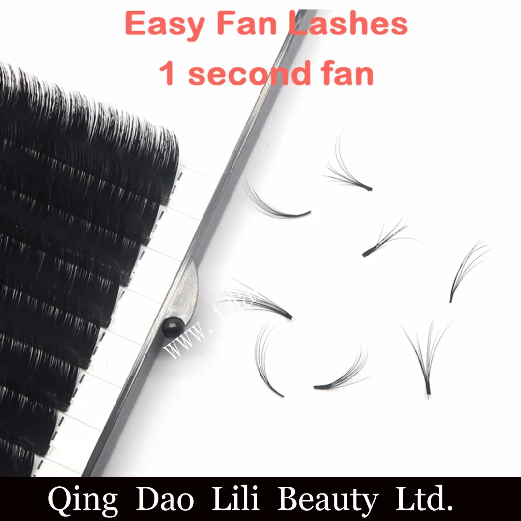 Wholesale Matte Ellipse Flat Volume Lashes Easy Fanning Eyelash Extensions Rapid Lashes