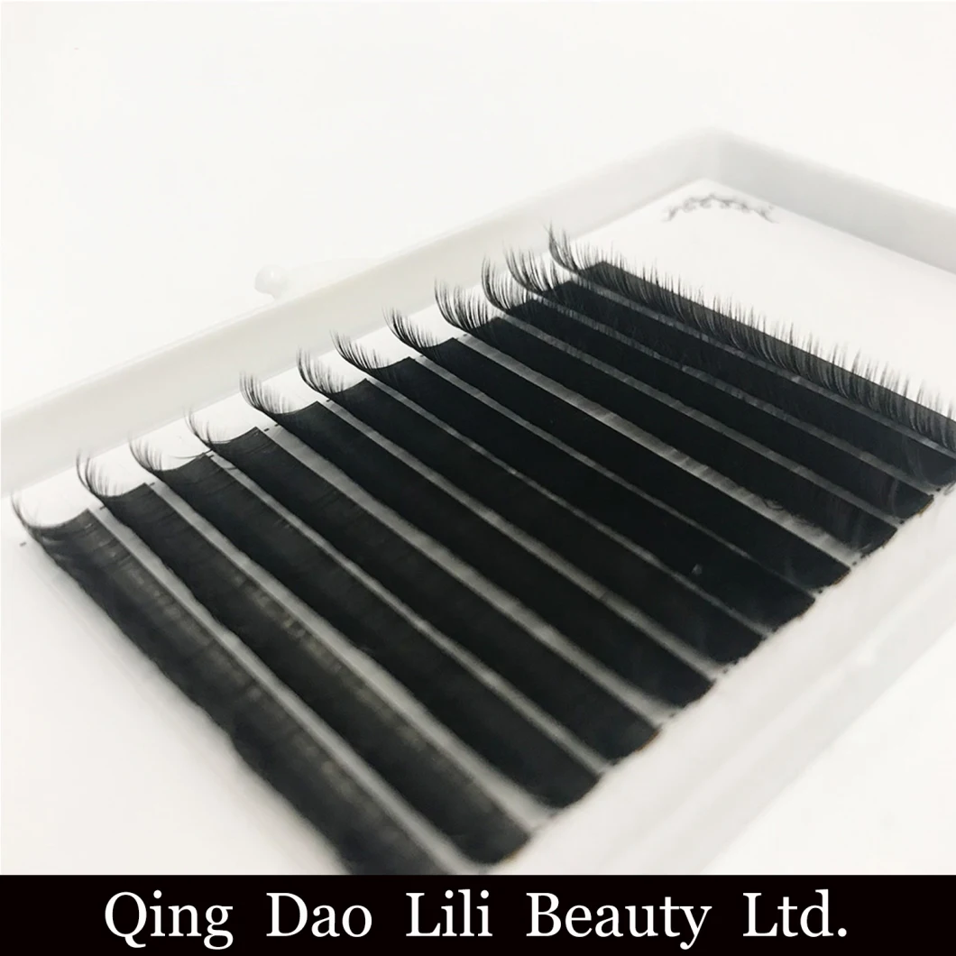 25mm Eyelashes Private Label Flat Lash Extension 3D Individual Eyelashes Mink Packaging